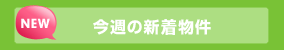 今週の新着情報